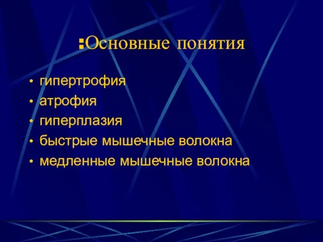 Основные понятия: гипертрофия атрофия гиперплазия быстрые мышечные волокна медленные мышечные волокна