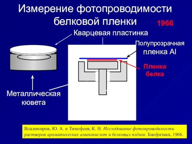 Измерение фотопроводимости белковой пленки 1966