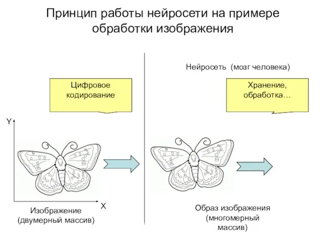 Принцип работы нейросети на примере обработки изображения Цифровое кодирование Изображение (двумерный массив)