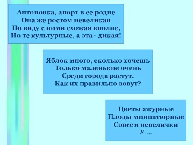 Антоновка, апорт в ее родне Она же ростом невеликая По виду с