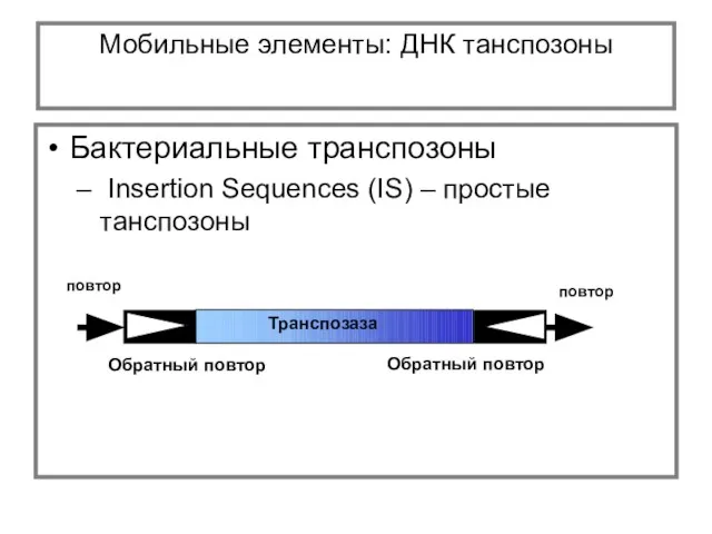 Мобильные элементы: ДНК танспозоны Бактериальные транспозоны Insertion Sequences (IS) – простые танспозоны