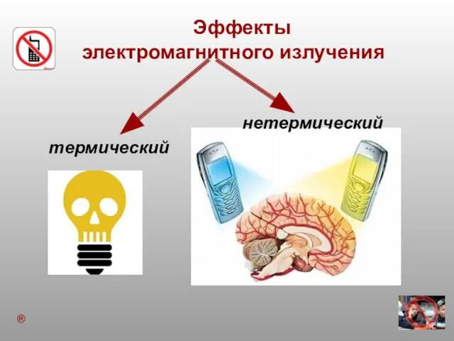 Эффекты электромагнитного излучения термический нетермический ®