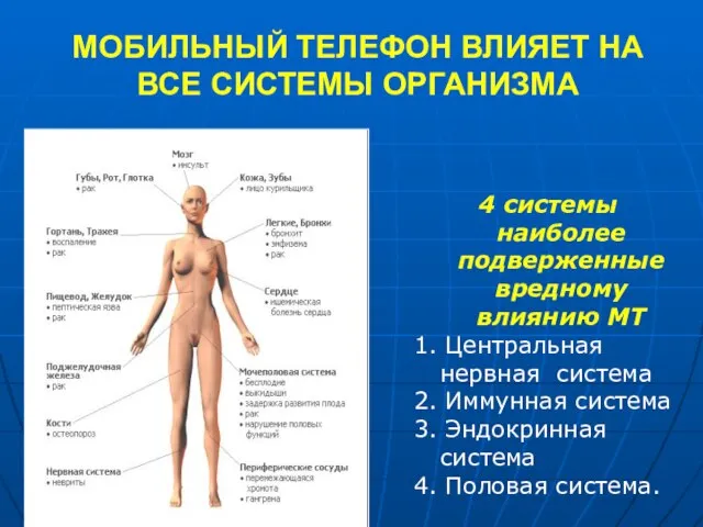 МОБИЛЬНЫЙ ТЕЛЕФОН ВЛИЯЕТ НА ВСЕ СИСТЕМЫ ОРГАНИЗМА 4 системы наиболее подверженные вредному