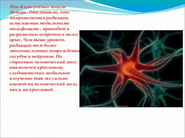 Шведские учёные пошли дальше. Они заявили, что микроволновая радиация, испускаемая мобильными телефонами