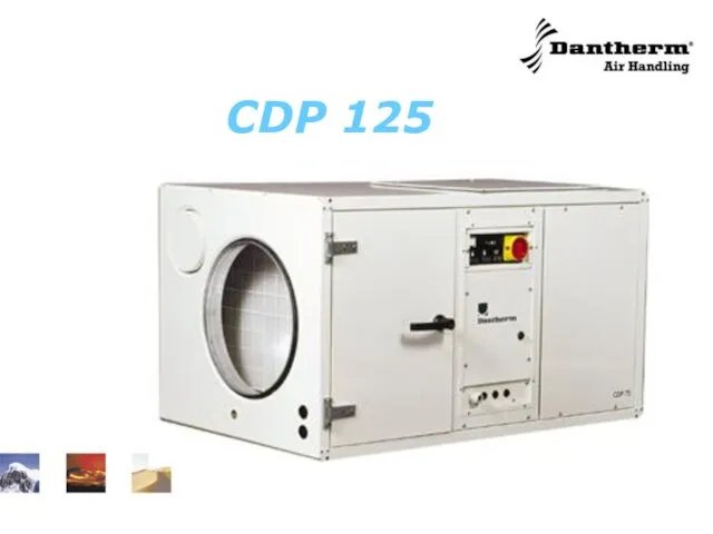 CDP 125