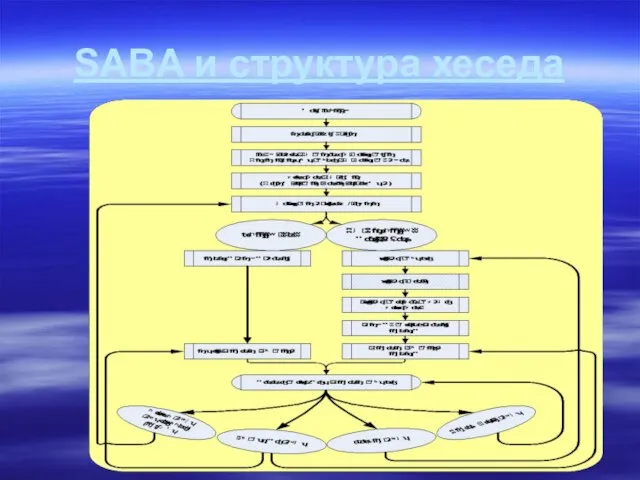 SABA и структура хеседа