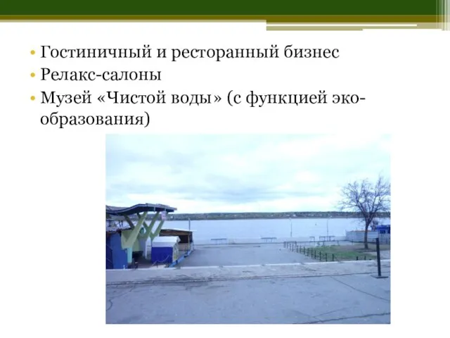 Гостиничный и ресторанный бизнес Релакс-салоны Музей «Чистой воды» (с функцией эко-образования)