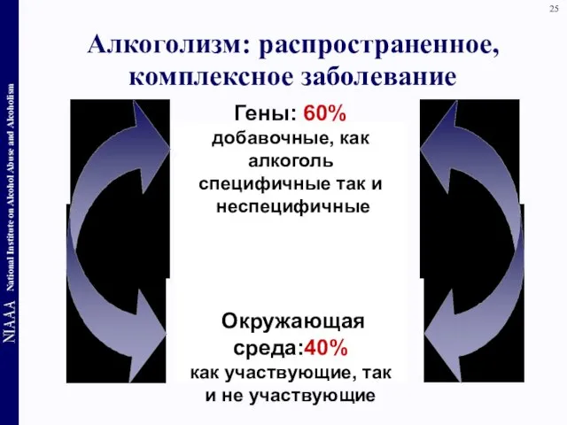 Алкоголизм: распространенное, комплексное заболевание Гены: 60% добавочные, как алкоголь специфичные так и