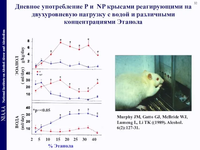 Дневное употребление P и NP крысами реагирующими на двухуровневую нагрузку с водой