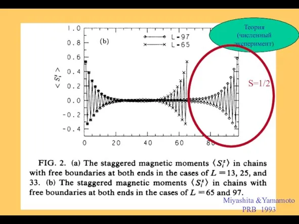 Miyashita &Yamamoto PRB 1993 Теория (численный эксперимент) S=1/2