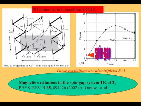 Magnetic excitations in the spin-gap system TlCuCl3 PHYS. REV. B 65, 094426