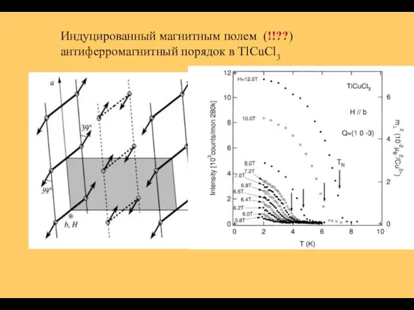 Индуцированный магнитным полем (!!??) антиферромагнитный порядок в TlCuCl3