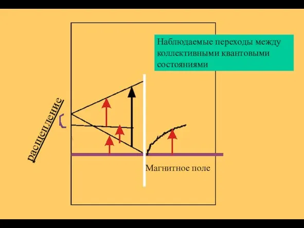Наблюдаемые переходы между коллективными квантовыми состояниями расщепление Магнитное поле