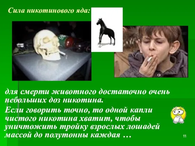 Сила никотинового яда: для смерти животного достаточно очень небольших доз никотина. Если