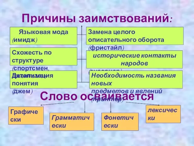 Причины заимствований: Слово осваивается исторические контакты народов (гувернер) Необходимость названия новых предметов