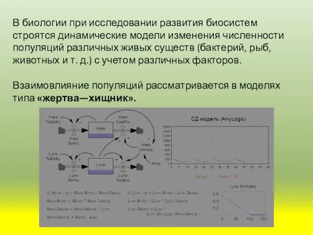 В биологии при исследовании развития биосистем строятся динамические модели изменения численности популяций