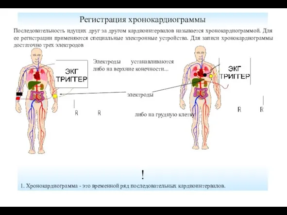 Регистрация хронокардиограммы ! 1. Хронокардиограмма - это временной ряд последовательных кардиоинтервалов. Последовательность