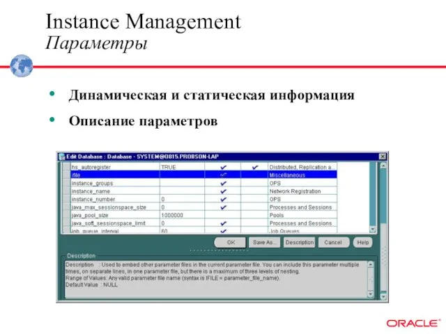 Instance Management Параметры Динамическая и статическая информация Описание параметров