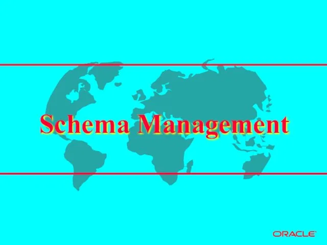 Schema Management