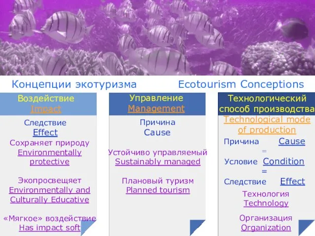 Концепции экотуризма Ecotourism Conceptions Концепции экотуризма Ecotourism Conceptions Воздействие Impact Управление Мanagement