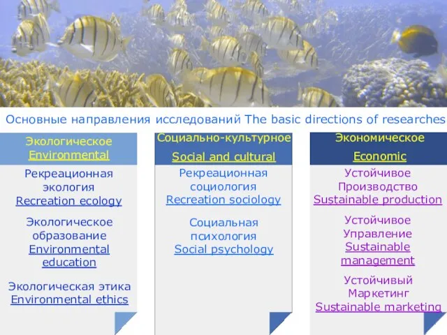 Основные направления исследований The basic directions of researches Основные направления исследований The