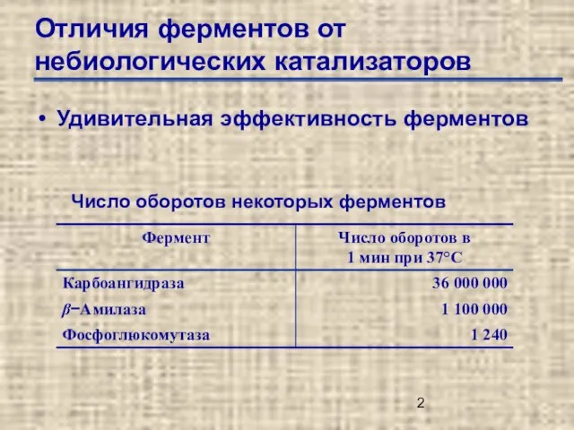 Отличия ферментов от небиологических катализаторов Удивительная эффективность ферментов Число оборотов некоторых ферментов