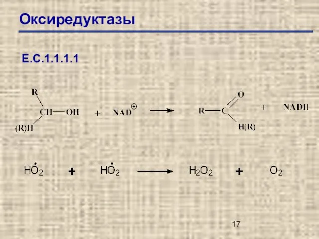 Оксиредуктазы Е.С.1.1.1.1