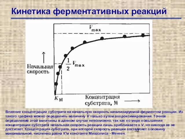 Кинетика ферментативных реакций Влияние концентрации субстрата на начальную скорость катализируемой ферментом реакции.