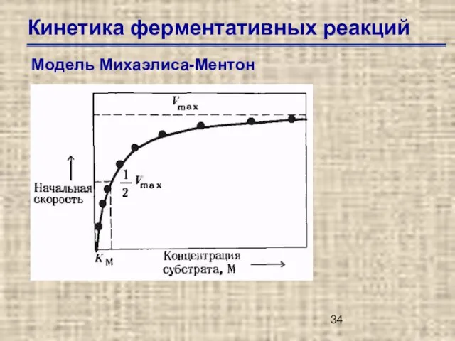 Кинетика ферментативных реакций Модель Михаэлиса-Ментон