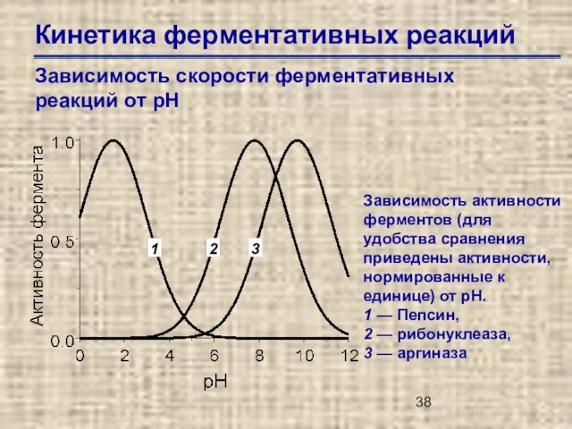 Кинетика ферментативных реакций Зависимость скорости ферментативных реакций от рН Зависимость активности ферментов