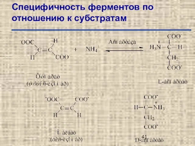 Специфичность ферментов по отношению к субстратам