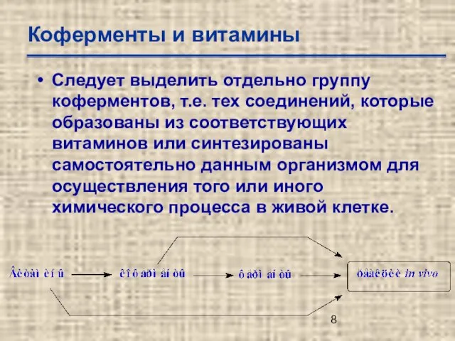 Коферменты и витамины Следует выделить отдельно группу коферментов, т.е. тех соединений, которые