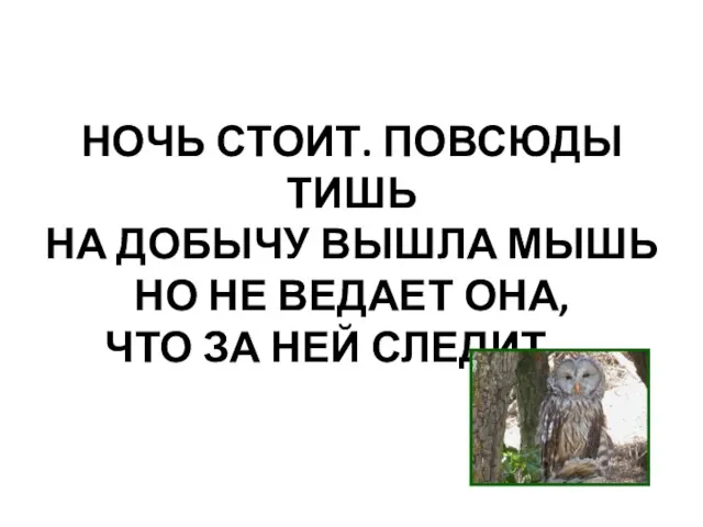 НОЧЬ СТОИТ. ПОВСЮДЫ ТИШЬ НА ДОБЫЧУ ВЫШЛА МЫШЬ НО НЕ ВЕДАЕТ ОНА,