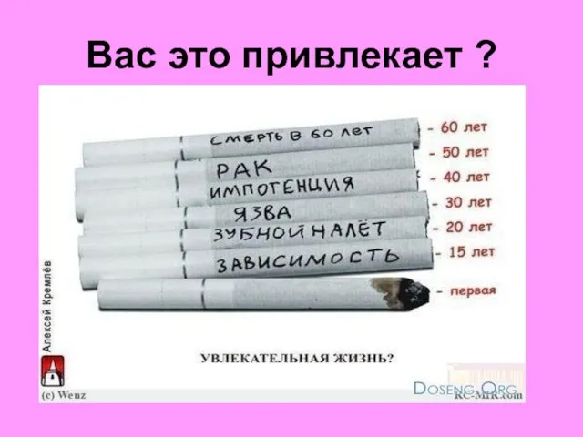 Вас это привлекает ?