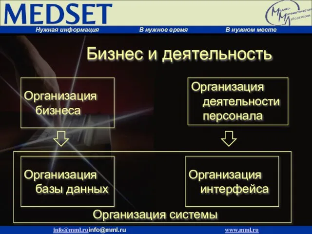 Бизнес и деятельность Организация бизнеса Организация деятельности персонала Организация базы данных Организация интерфейса Организация системы