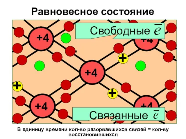 Равновесное состояние В единицу времени кол-во разорвавшихся связей = кол-ву восстановившихся +4