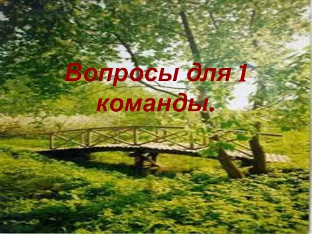 Вопросы для 1 команды.