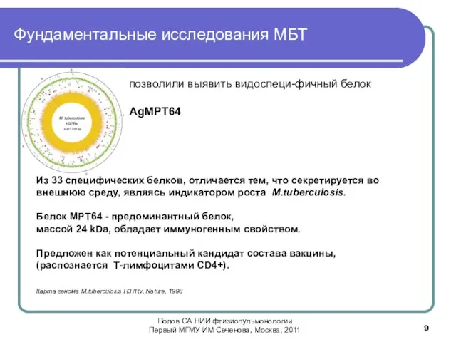 Фундаментальные исследования МБТ Из 33 специфических белков, отличается тем, что секретируется во