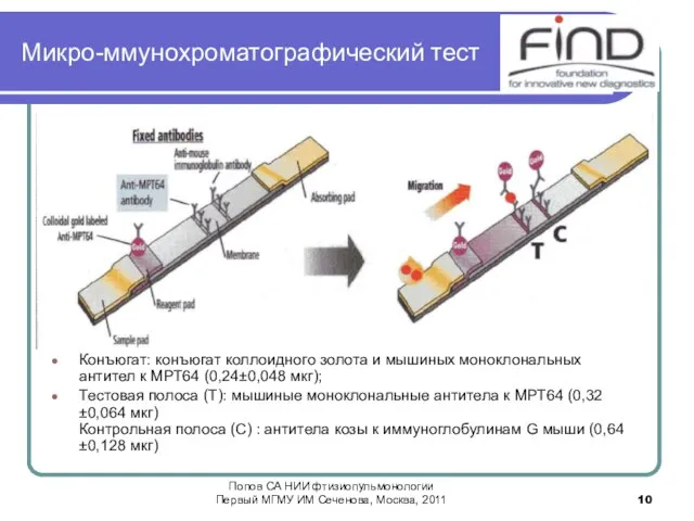 Микро-ммунохроматографический тест Конъюгат: конъюгат коллоидного золота и мышиных моноклональных антител к МРТ64