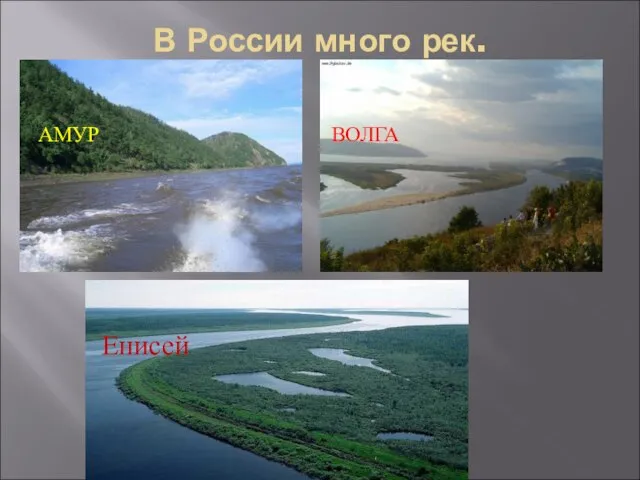 В России много рек. АМУР ВОЛГА Енисей