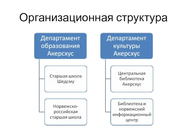 Организационная структура