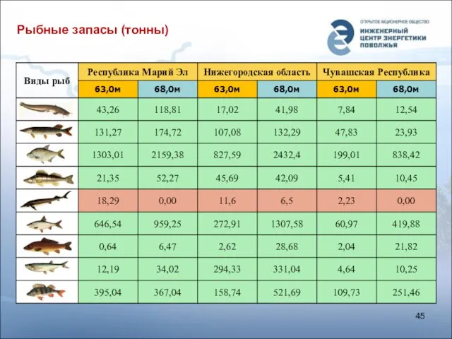 Рыбные запасы (тонны)