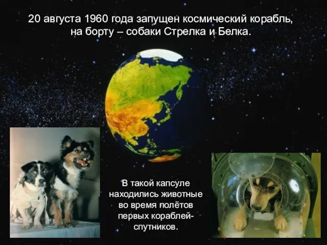 20 августа 1960 года запущен космический корабль, на борту – собаки Стрелка