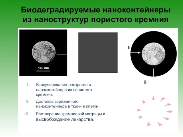 Биодеградируемые наноконтейнеры из наноструктур пористого кремния Капсулирование лекарства в наноконтейнере из пористого