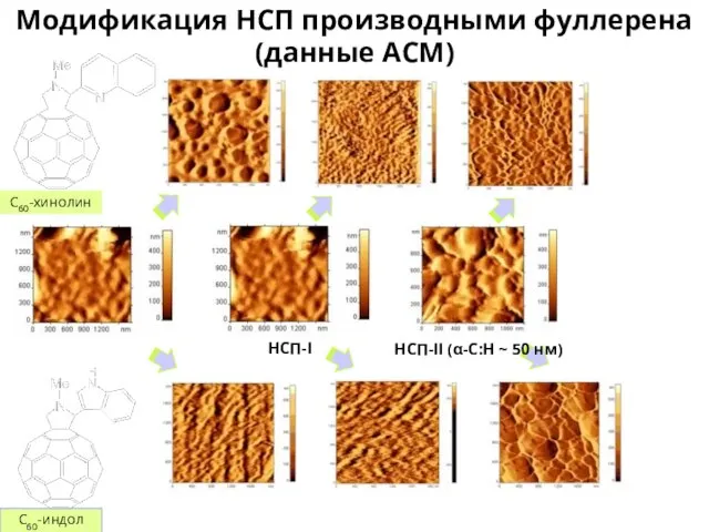 Модификация НСП производными фуллерена (данные АСМ) Контрольный образец НСП-I НСП-II (α-C:H ~ 50 нм) С60-хинолин С60-индол