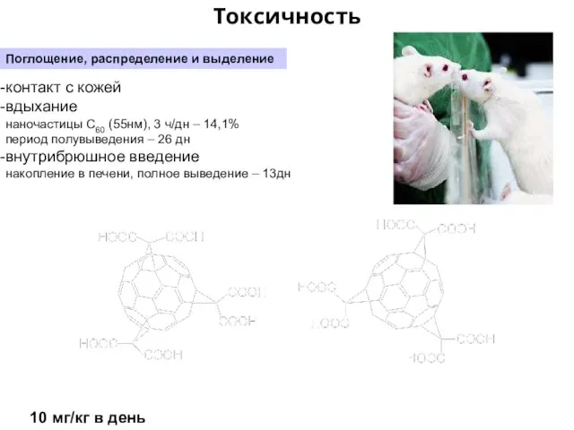 Токсичность Поглощение, распределение и выделение контакт с кожей вдыхание наночастицы С60 (55нм),