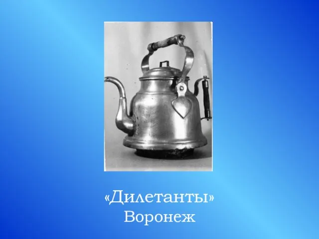 «Дилетанты» Воронеж