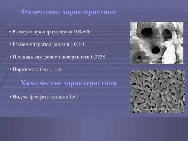 Физические характеристики Размер макропор (микрон) 100-600 Размер микропор (микрон) 0,1-1 Площадь внутренней