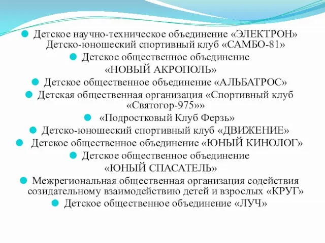 Детское научно-техническое объединение «ЭЛЕКТРОН» Детско-юношеский спортивный клуб «САМБО-81» Детское общественное объединение «НОВЫЙ