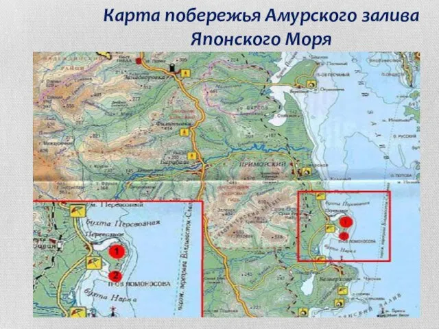 Карта побережья Амурского залива Японского Моря